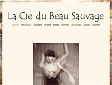Tablet Screenshot of beausauvage.com